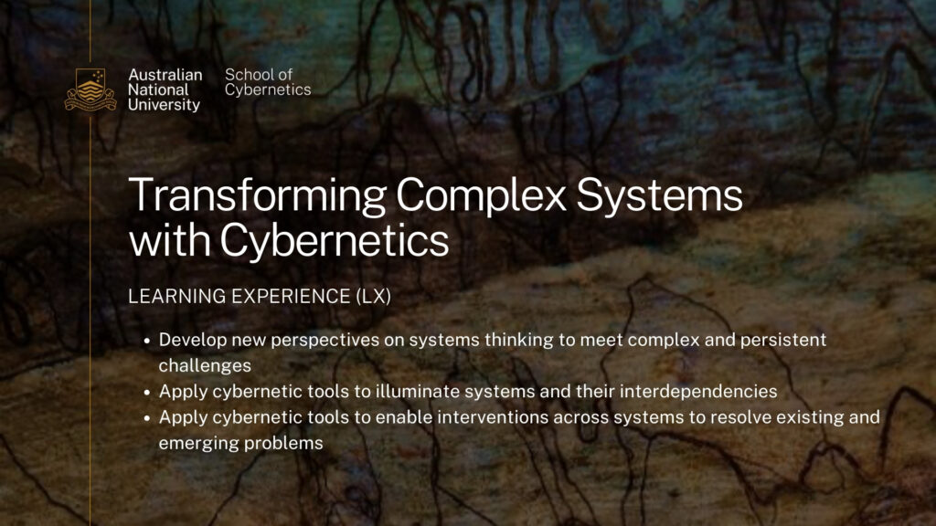 Transforming Complex Systems with Cybernetics