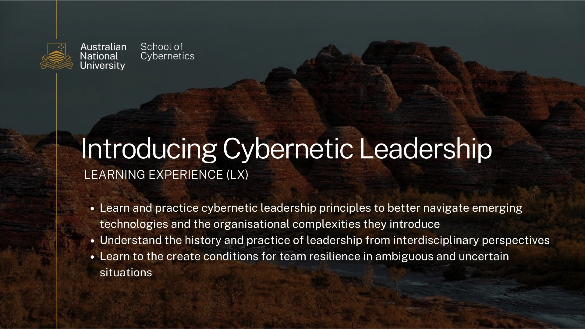 Introducing Cybernetic Leadership